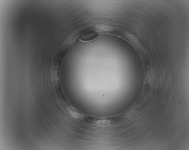 X0000071760426200607071241