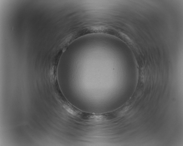 X0000071760428200607071241