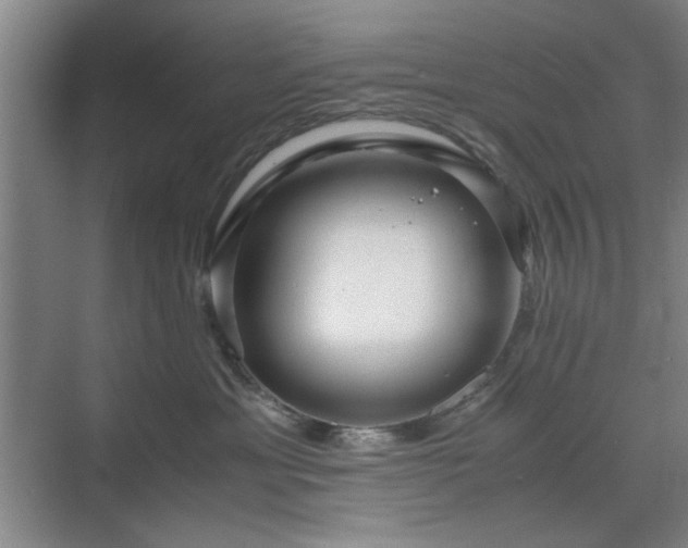 X0000071760429200607071241