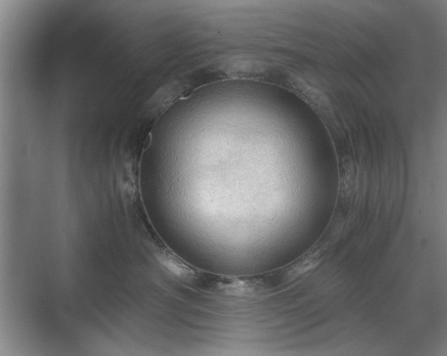 X0000071760430200607071241