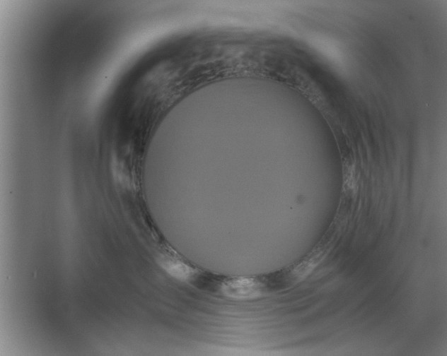 X0000071760431200607071241