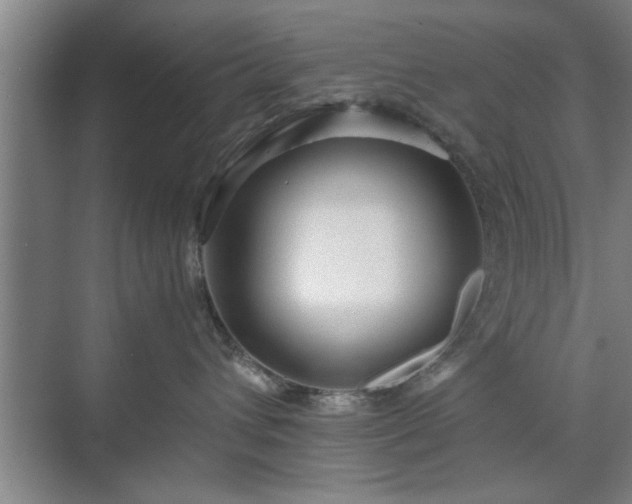 X0000071760432200607071241