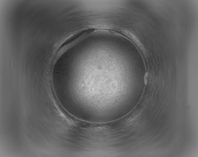 X0000071760433200607071240