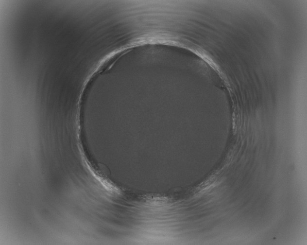 X0000071760438200607071240