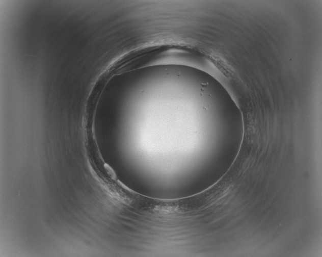 X0000071760440200607071240