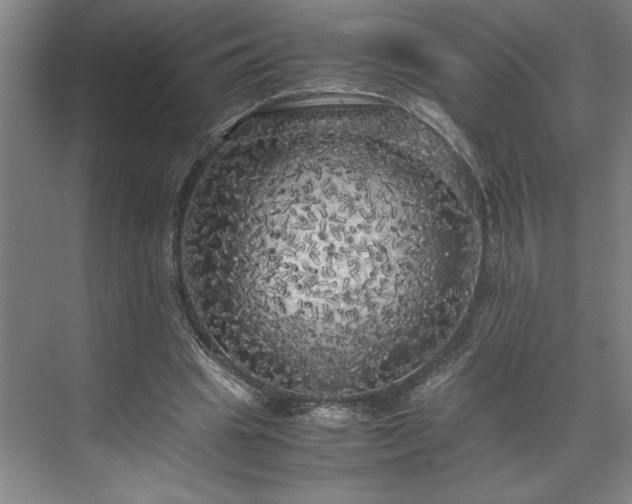 X0000071760441200607071240