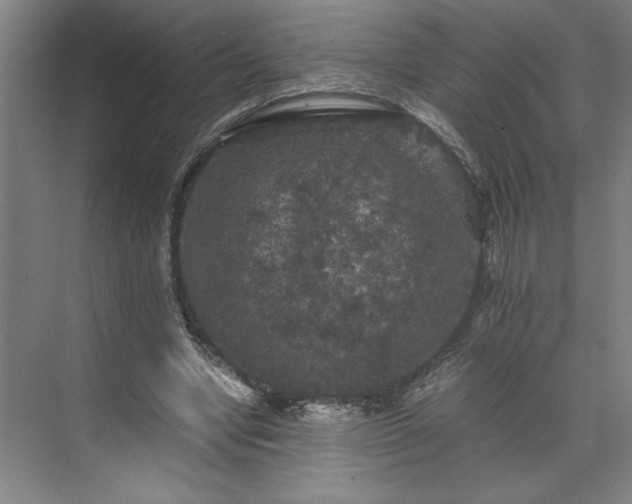 X0000071760442200607071240