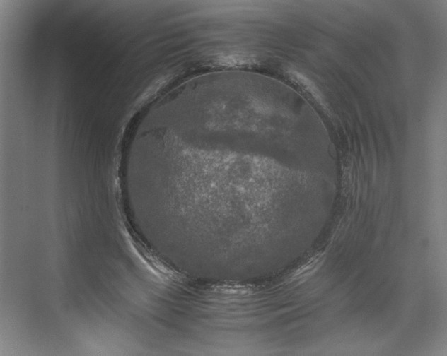 X0000071760443200607071240