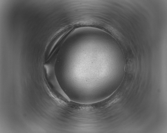 X0000071760446200607071240