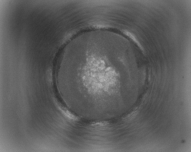 X0000071760447200607071240