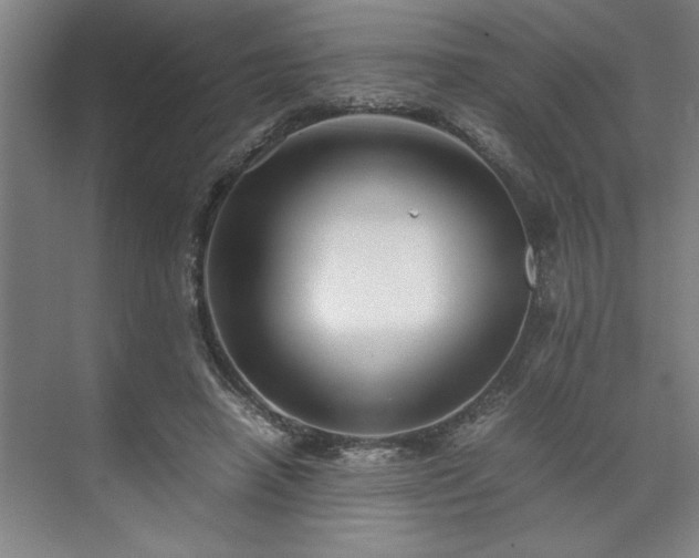 X0000071760450200607071240