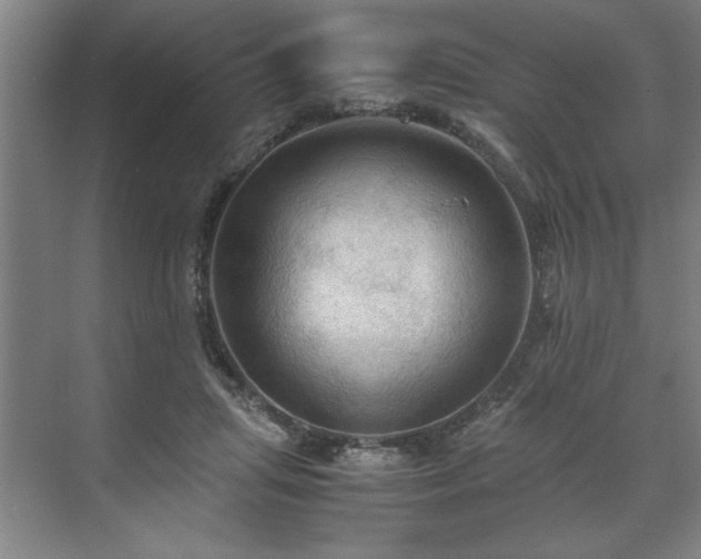 X0000071760455200607071240