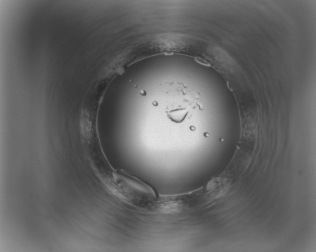 X0000071760456200607071240