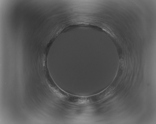 X0000071760458200607071240