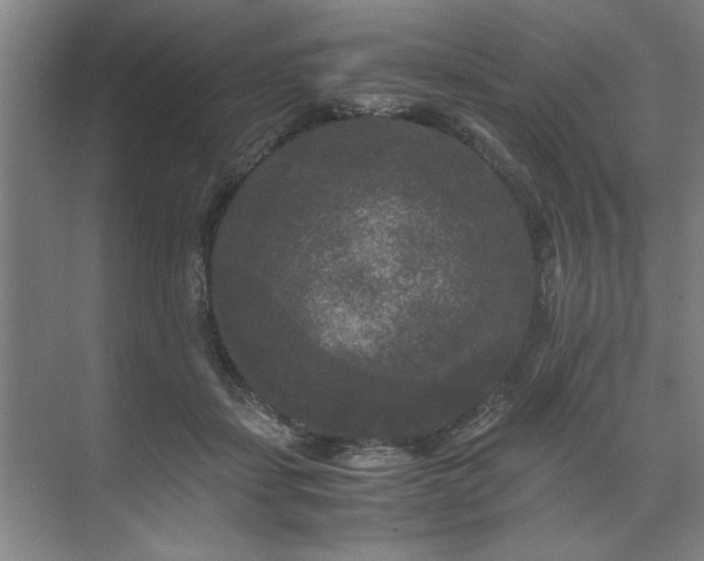 X0000071760459200607071240