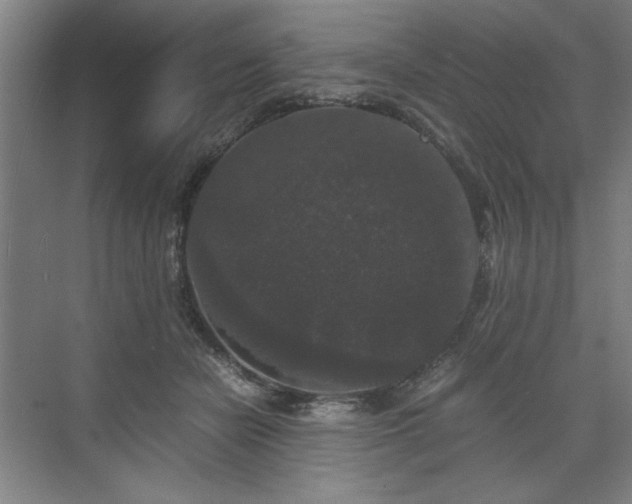 X0000071760462200607071240