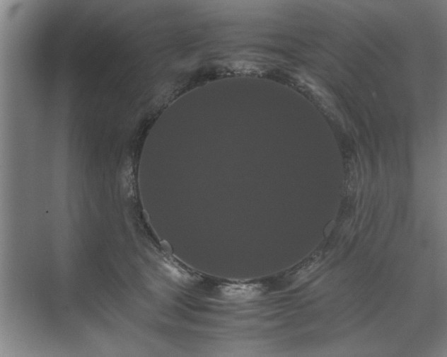 X0000071760465200607071240