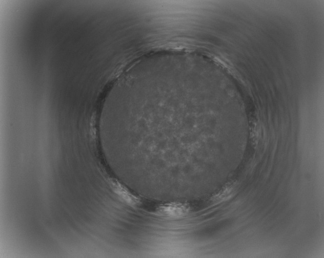 X0000071760466200607071240