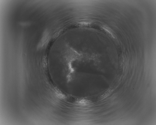 X0000071760467200607071240