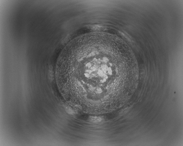 X0000071760469200607071240