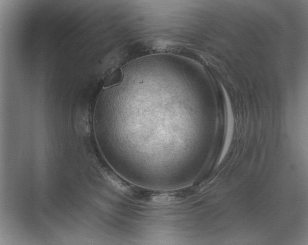 X0000071760470200607071240