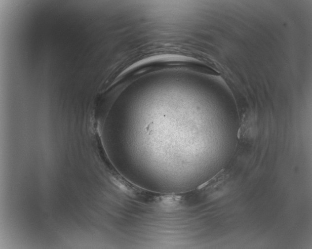 X0000071760474200607071240