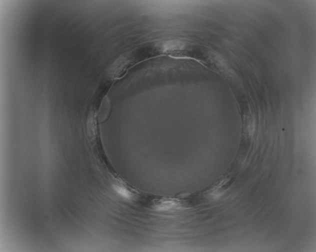 X0000071760475200607071240