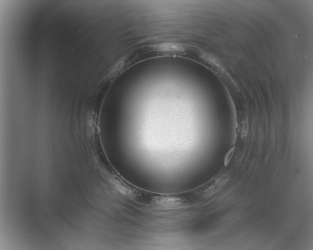 X0000071760476200607071240