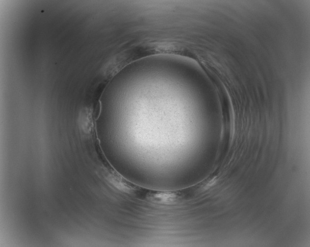 X0000071760478200607071240