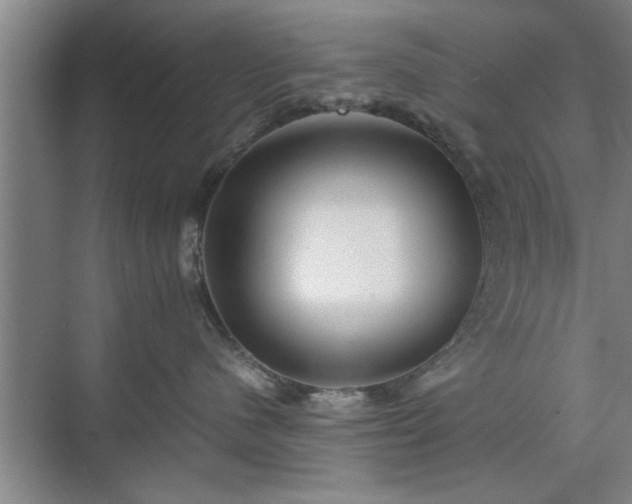 X0000071760480200607071241