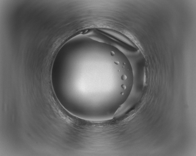 X0000071760481200607071240