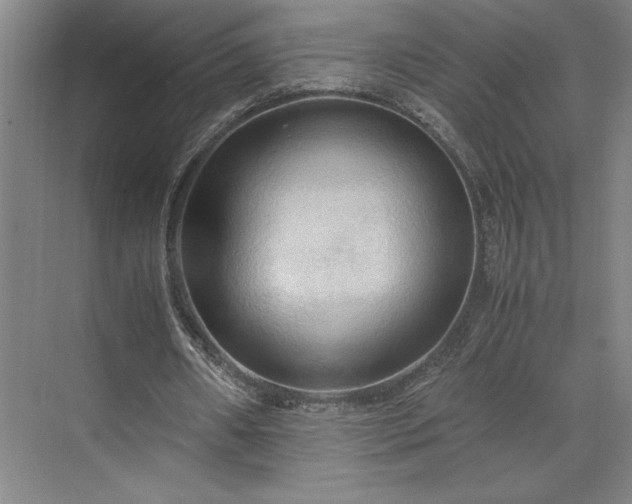 X0000071760482200607071240