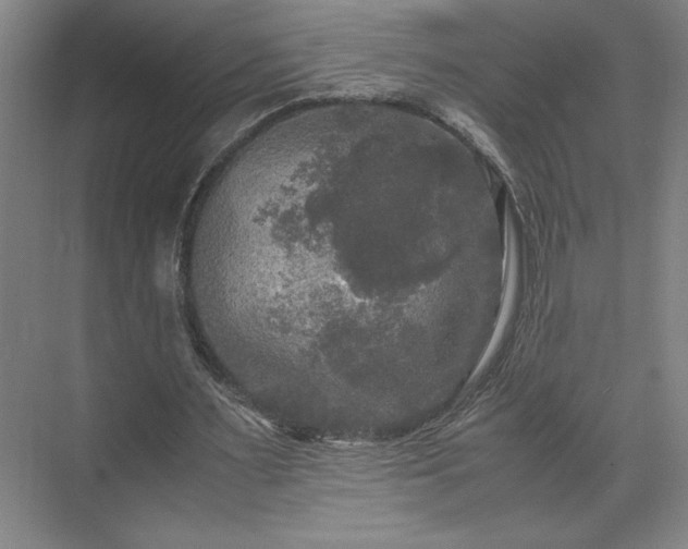 X0000071760483200607071240