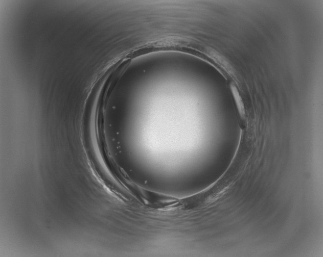 X0000071760485200607071240