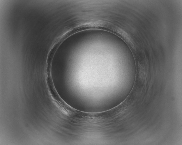 X0000071760486200607071240