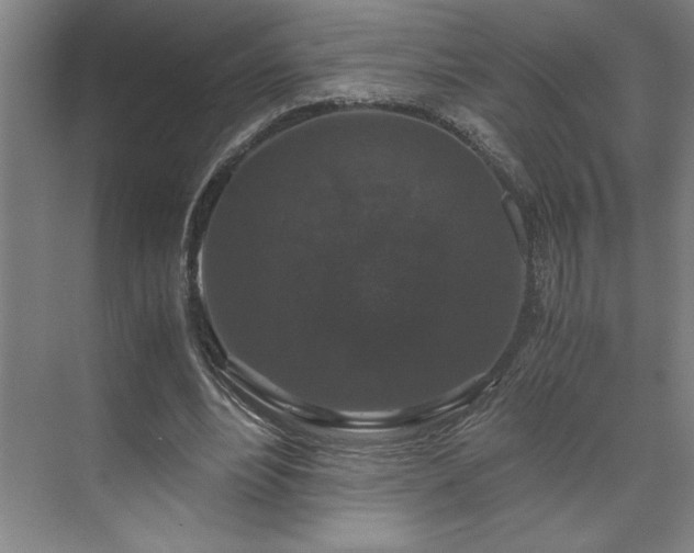 X0000071760488200607071240