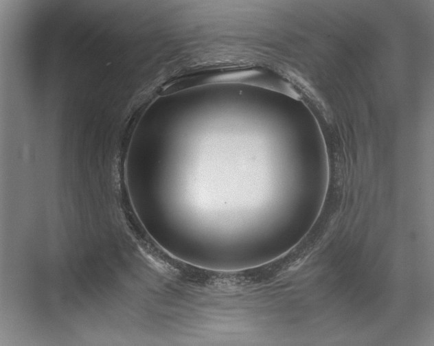 X0000071760489200607071240