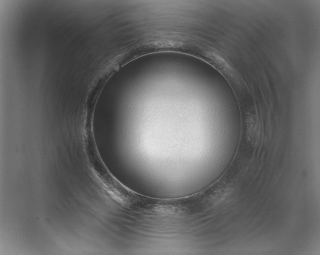 X0000071760490200607071240