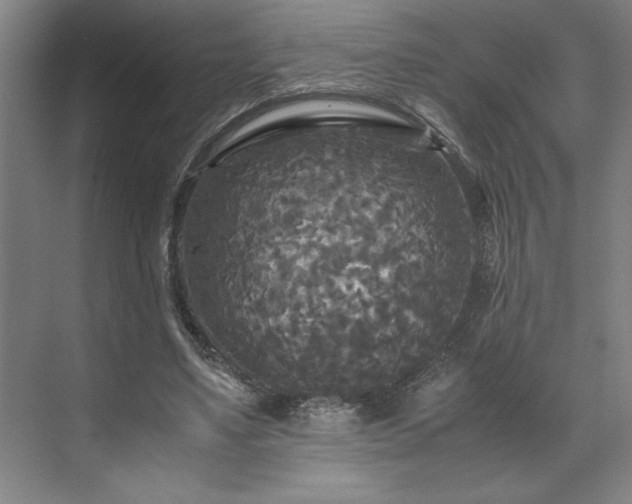 X0000071760491200607071240