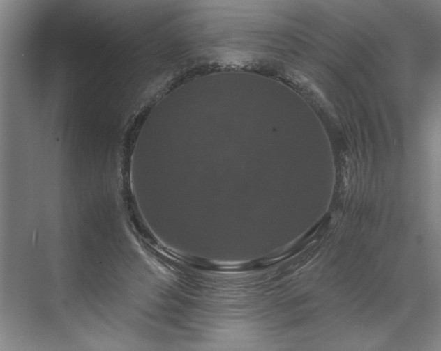 X0000071760496200607071239