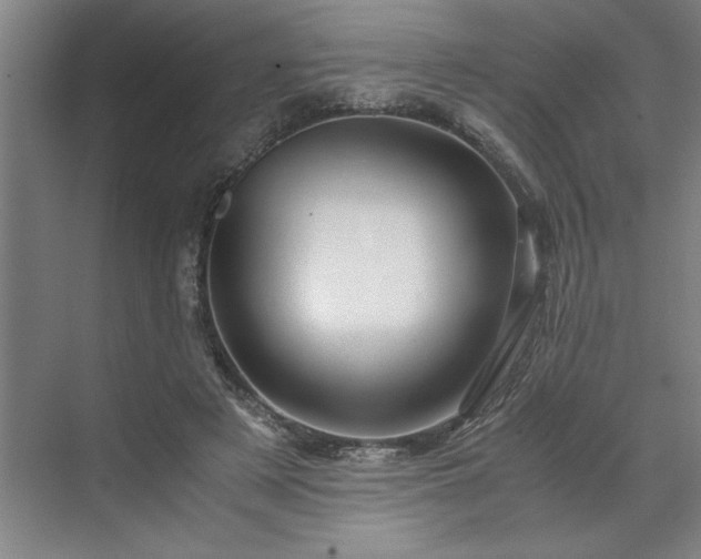 X0000071760497200607071239