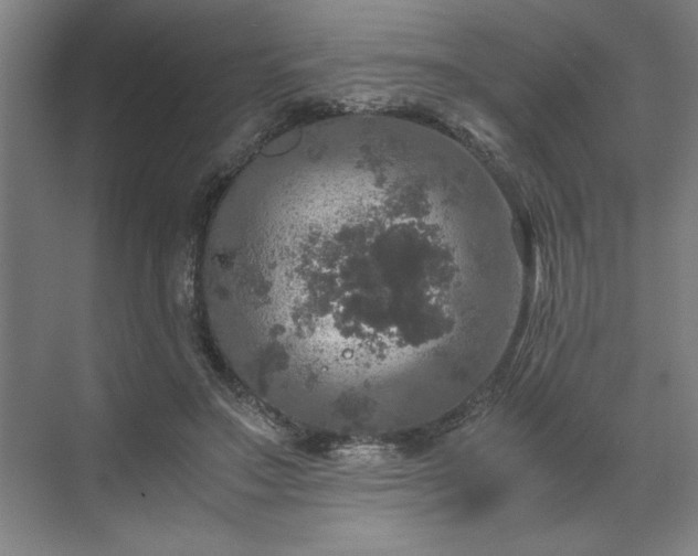 X0000071760499200607071239