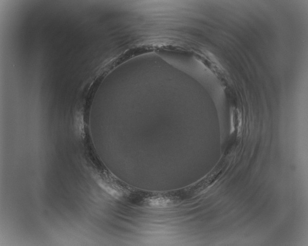 X0000071760500200607071239