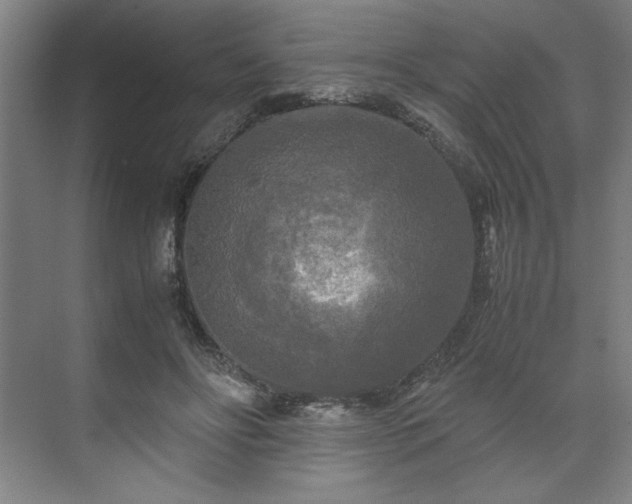 X0000071760502200607071239