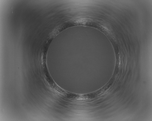 X0000071760504200607071239