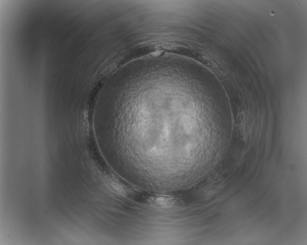 X0000071760506200607071239