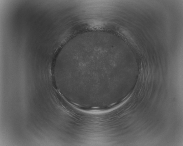 X0000071760508200607071239