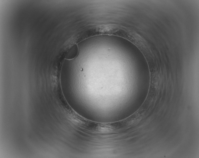 X0000071760510200607071239