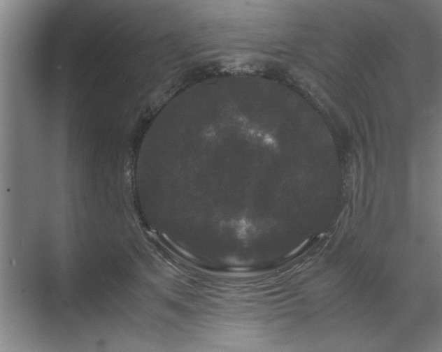 X0000071760513200607071239