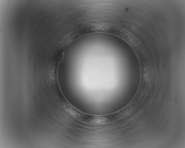 X0000071760514200607071239